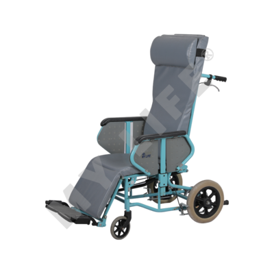 Multifunctional Wheelchair